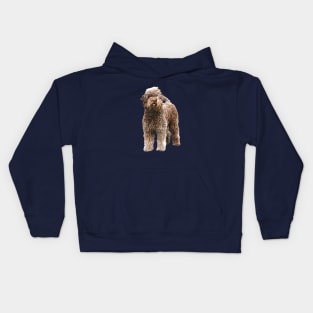 Lagotto Romagnolo - Italian Water Dog Kids Hoodie